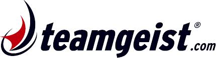 teamgeist logo